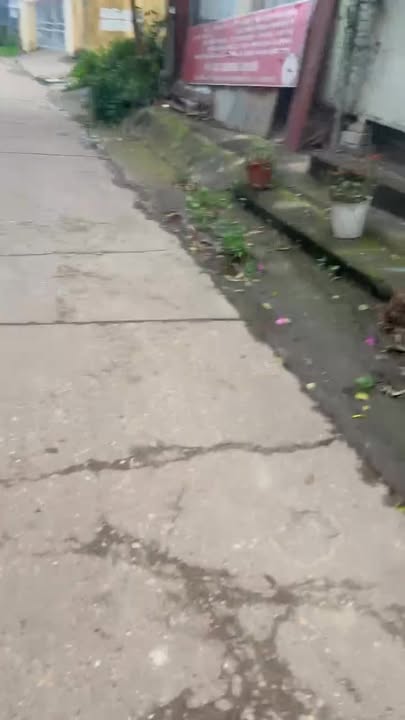 Đất nền Xương Lâm, Lạng Giang - 113m² hai mặt tiền, kinh doanh đắc địa