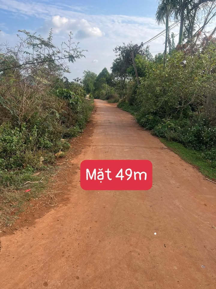 Đất Nền Krông Năng 660m² - Tách 9 Lô, Giá 2.2 Tỷ, Gần QL29