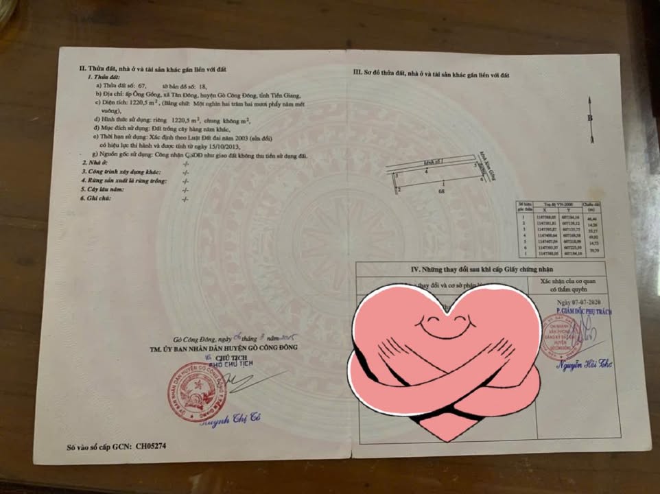 Đất Vườn Gò Công 1178m² - 3 Mặt Thoáng, Lộc Phát