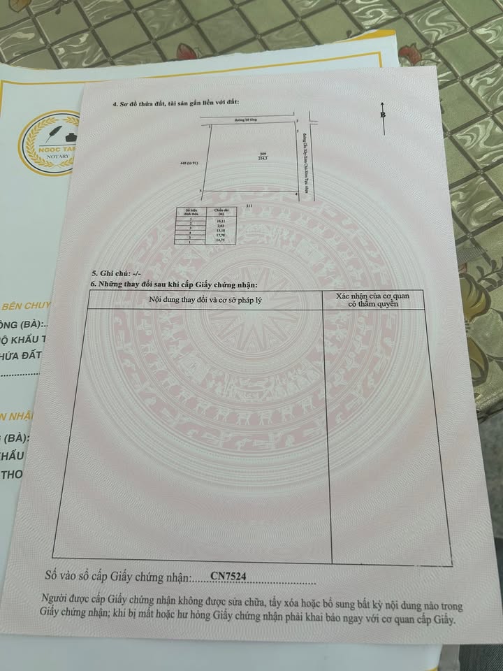 Đất nền mặt tiền nhựa 240m² Gò Công Đông, Tiền Giang - Giá 9xx triệu