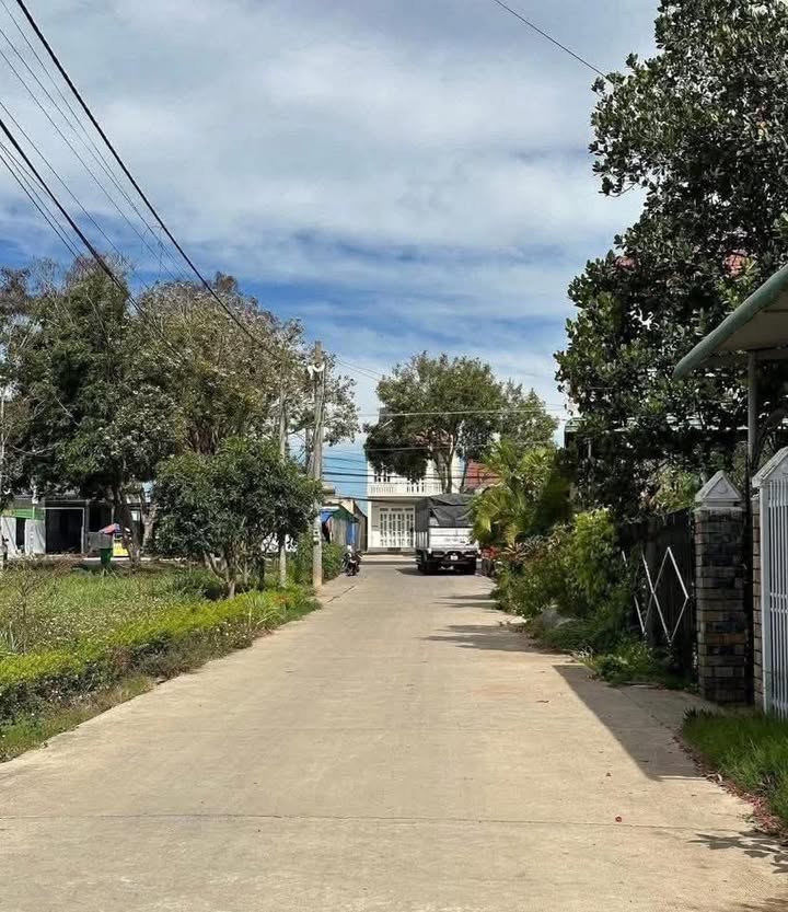 Bán Đất Phú Hội, Đức Trọng 110m² - Sổ Hồng Sẵn Sàng