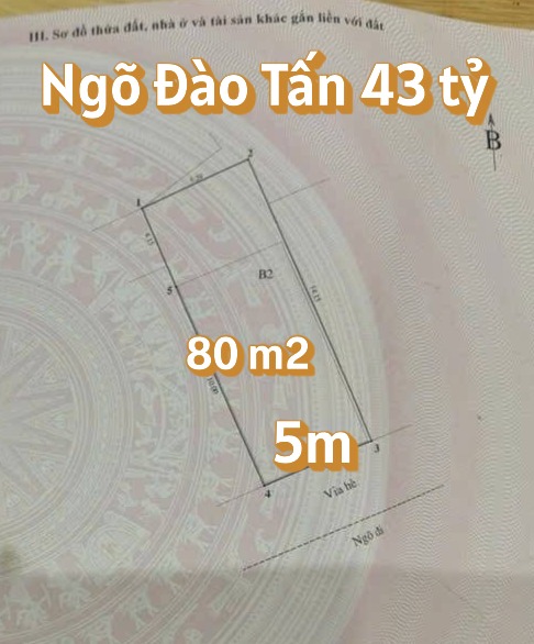 Đất Vàng Ba Đình 80m² - Ngõ 12 Đào Tấn, Ô tô Tránh, Vỉa Hè Rộng
