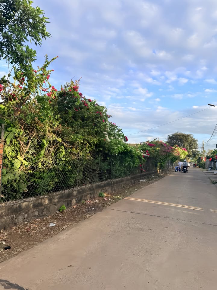 Đất Hòa Phú Buôn Ma Thuột 330m² giá thương lượng - Sổ đỏ chính chủ