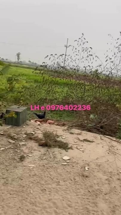 Đất nền 150m² Thạch Thất - Sổ đỏ thổ cư, MT 10m, giá 4.5 tỷ