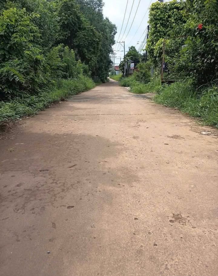 Bán Đất Vĩnh Tân, Đồng Nai 237.8m² Sổ Hồng Riêng - Giá Tốt 8xx Triệu