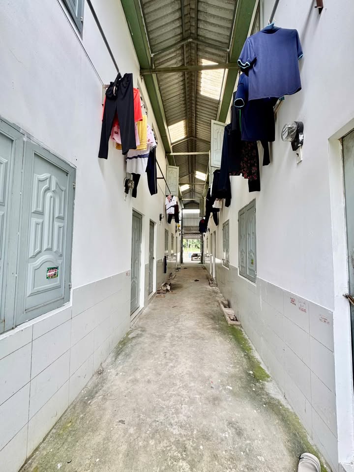 Mặt Tiền Tạo Lực Bàu Bàng - Cặp Nhà Dòng Tiền 240m² Sổ Hồng Riêng