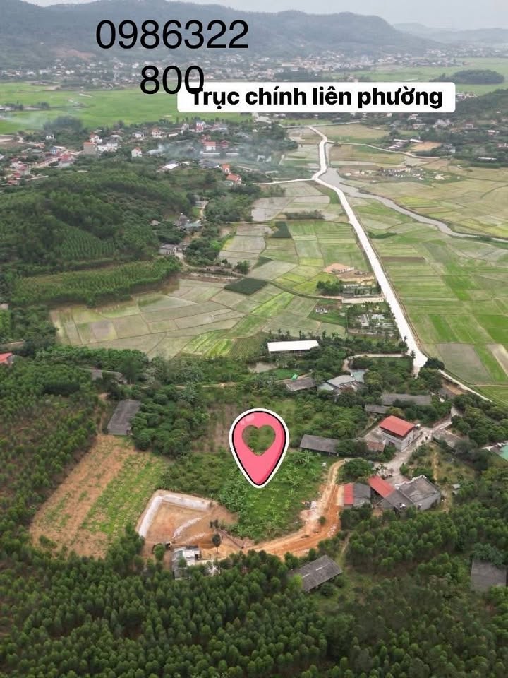 Đất Vườn Nghỉ Dưỡng Lê Lợi, Hải Dương - 1000m² Giá Tốt