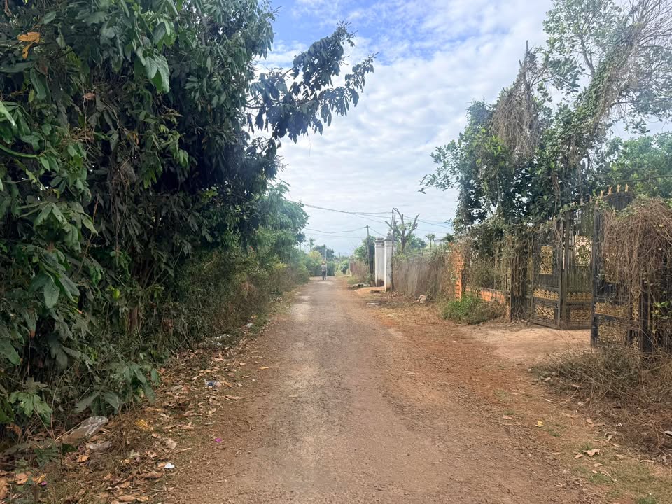 Bán đất 320m² mặt tiền Tố Hữu, Chư Sê, Gia Lai - 600 triệu