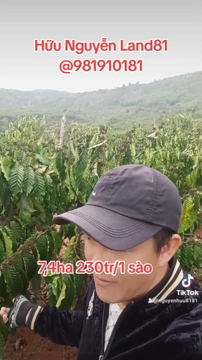 Farm cafe 7.4ha Gia Lai - Nguồn thu ổn định, đất đỏ bazan trù phú