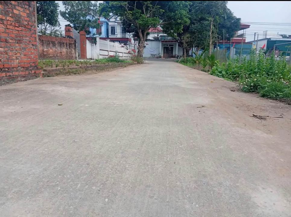 Bán Đất Hoành Sơn, Thái Thụy 150m² Thổ Cư - Đầu Tư Sinh Lời Vượt Trội