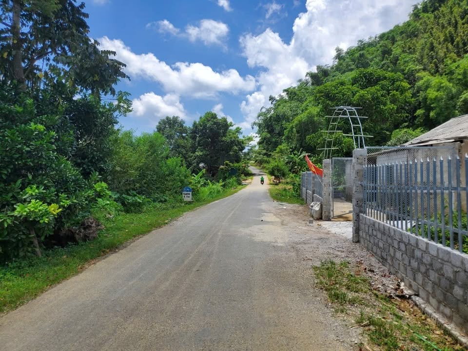 Đất Mặt Tiền Tỉnh Lộ 450 Hòa Bình - 276m² Sổ Đỏ, Giá Tốt