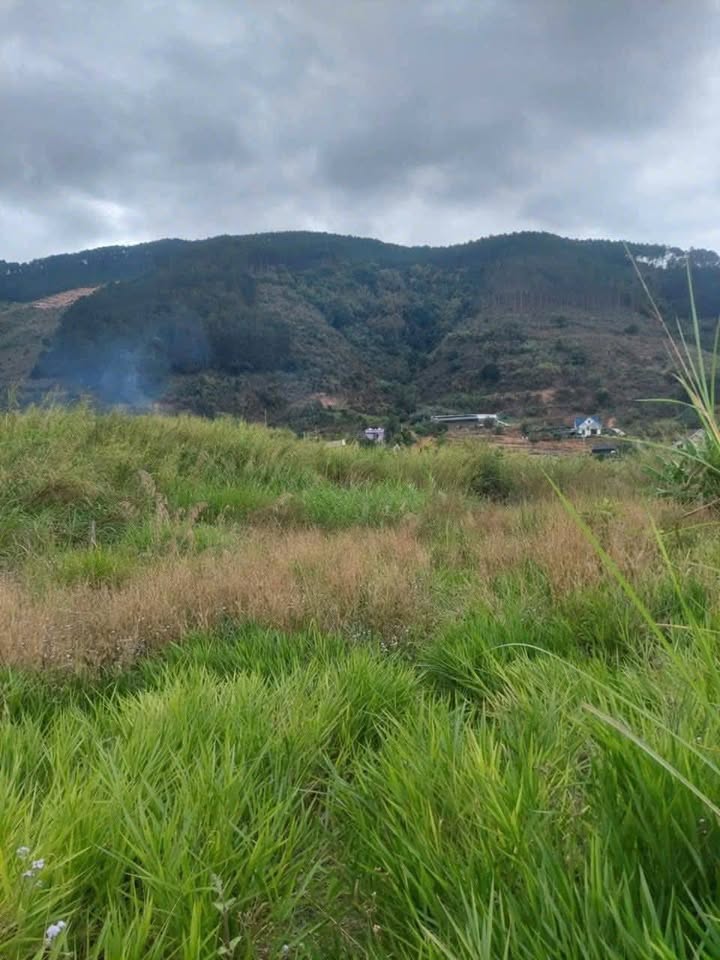 Đất nền Lâm Hà 859m² - Mặt tiền 14.2m, Sẵn 140m² XD - Đầu tư hấp dẫn