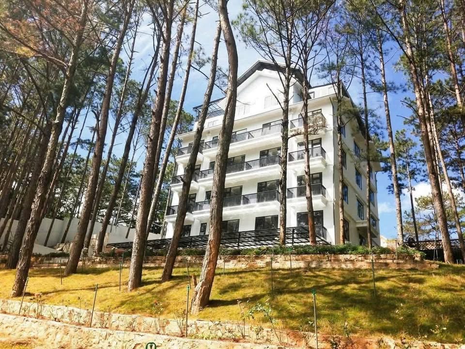 Cho thuê Villa KS 3 Sao 1000m² Hồ Tuyền Lâm, Đà Lạt - Kinh doanh lý tưởng