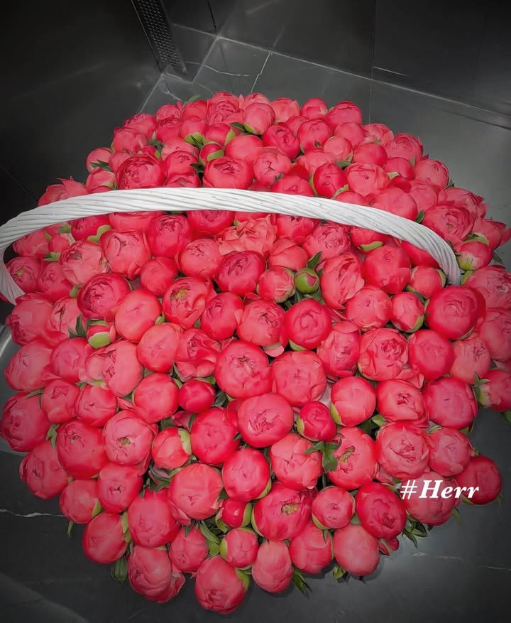 Đất nền Cẩm Sơn, Hà Tĩnh - 1085m² - Gần trường học, giá chỉ từ 1 tỷ