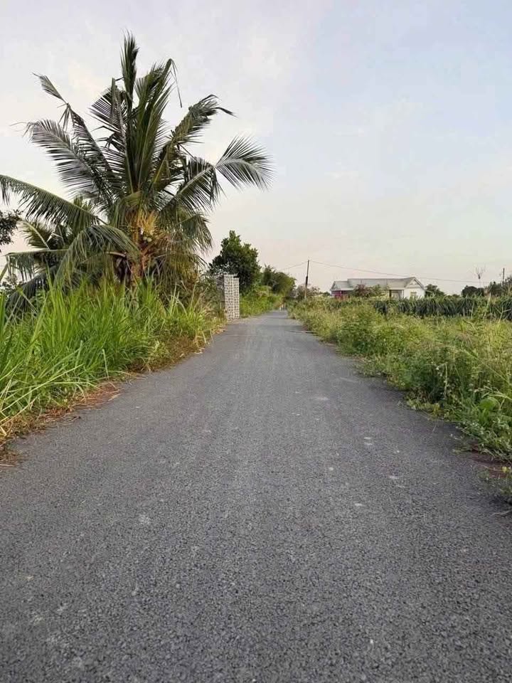 Đất thổ Long An 150m² - Sổ sẵn, đường xe tải, sát chợ Vĩnh Công