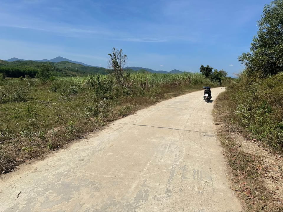 Đất Vườn Diên Khánh 2110m² - Mặt Đường Betong, Giá Tốt Chỉ 420 Triệu