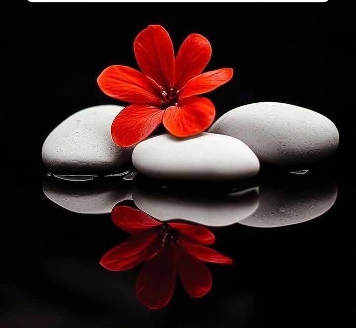 Nhà 2 Tầng 56m² Củ Chi - Giá 1.1 Tỷ, Đường Xe Tải, Sổ Hồng