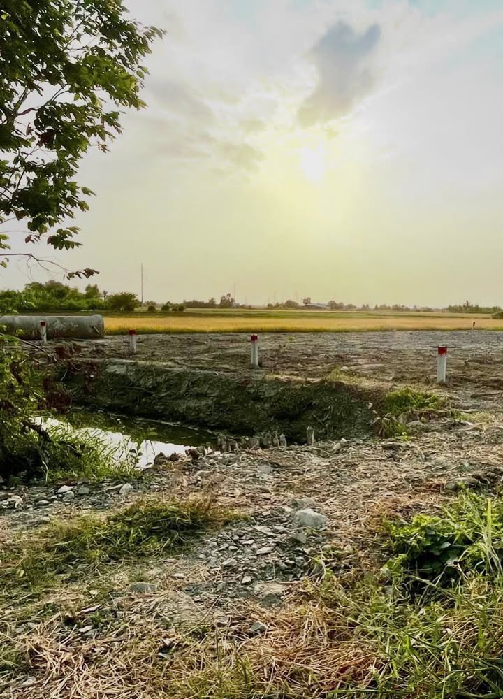 Đất Thổ Cư Tân Lân Cần Đước 135m² - Mặt Tiền Kênh Giá Tốt 420 Triệu