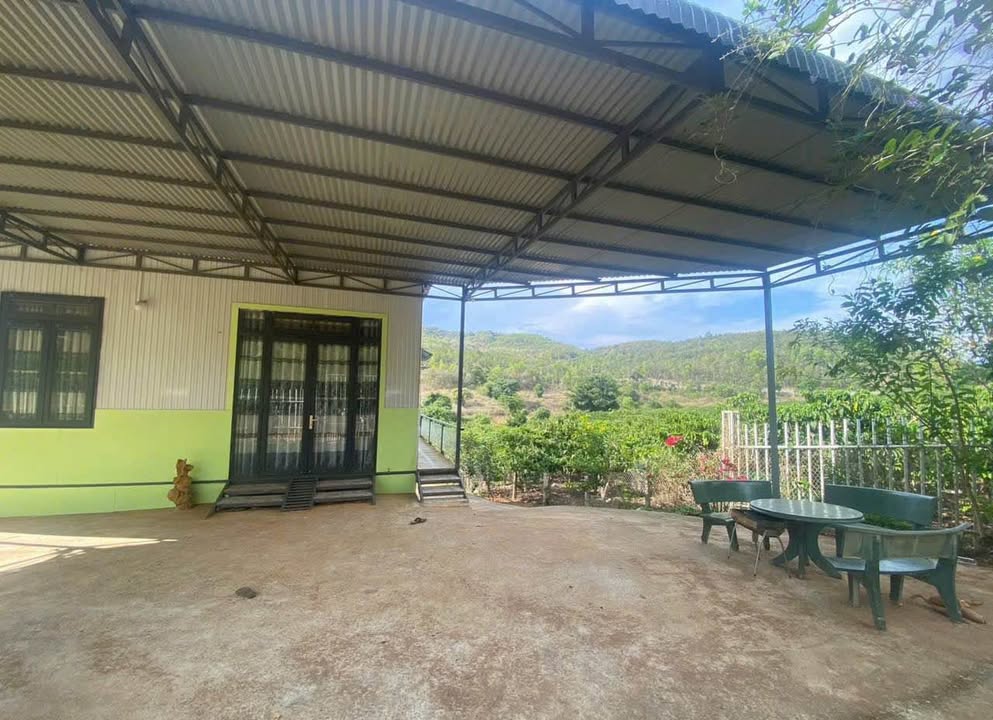 Đất Tặng Nhà Vườn Nghỉ Dưỡng Đức Trọng - 1667m² Gần Sân Bay Liên Khương