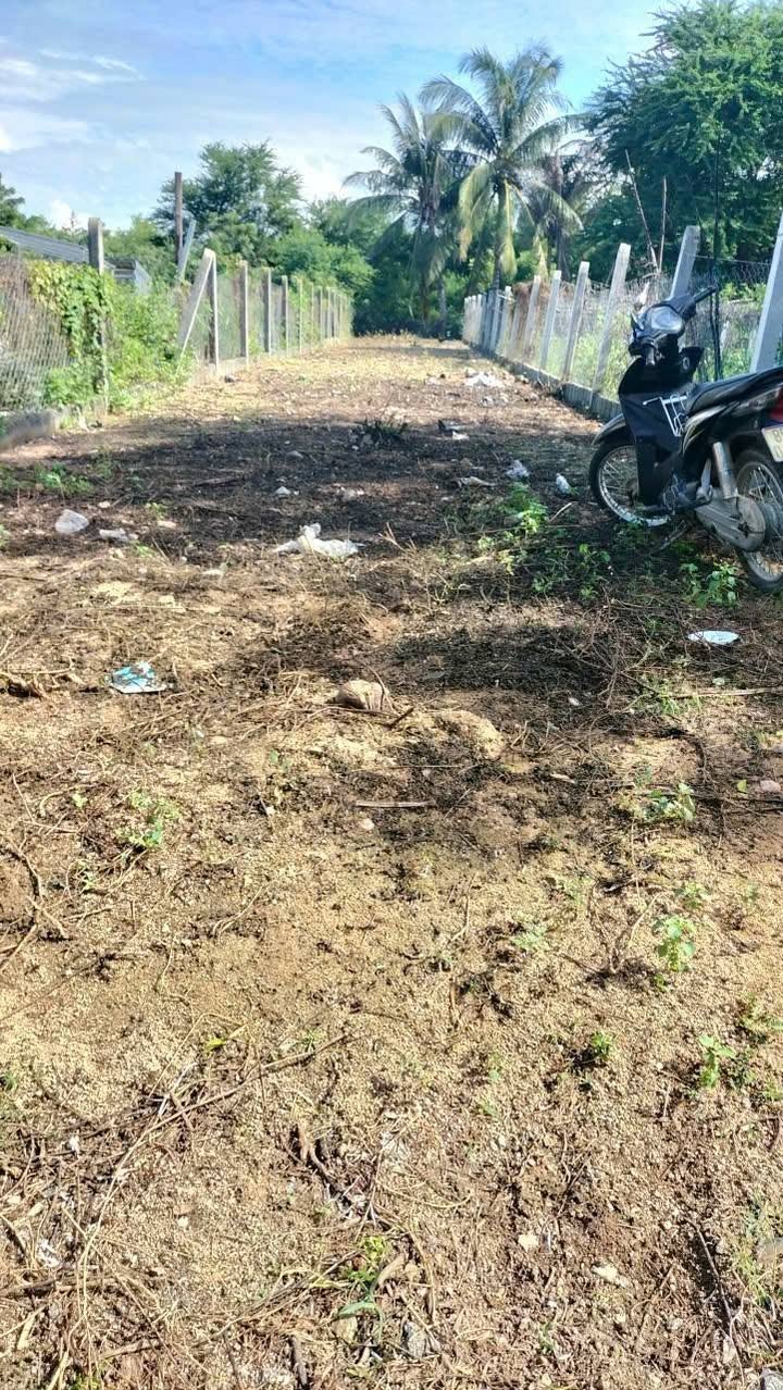 Đất Nền Vị Trí Đắc Địa Phường Văn Hải, Phan Rang - 245m² Sổ Hồng Riêng