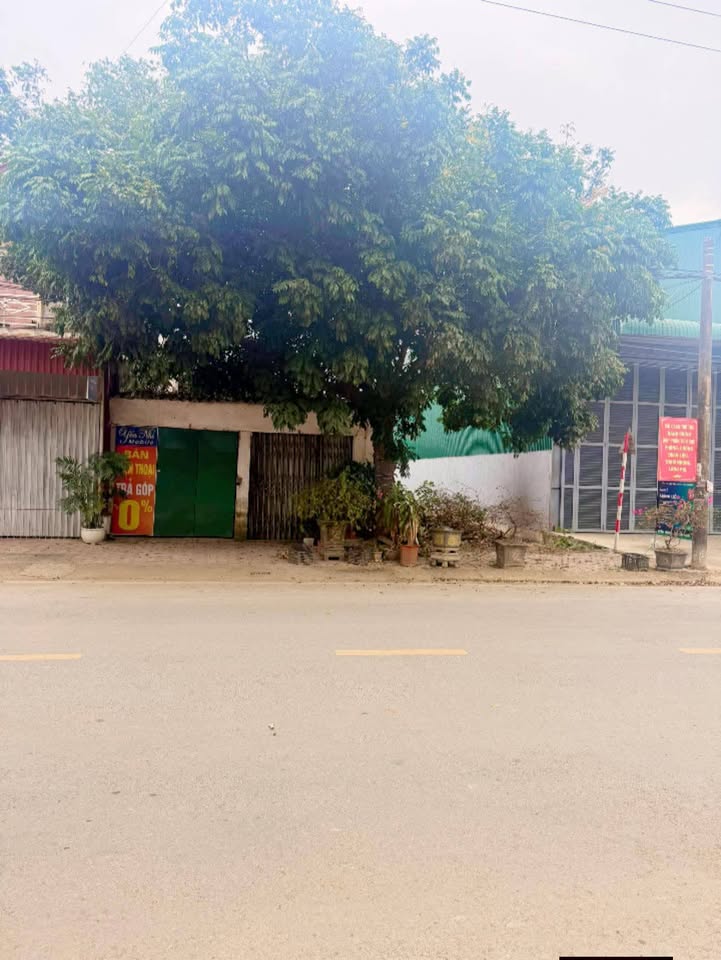 Đất 135m² Mặt Tiền Kinh Doanh Đường Quang Sơn, Tam Điệp - Giá 2.2 Tỷ