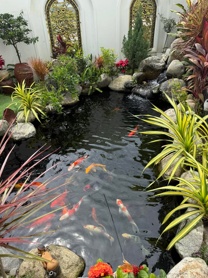 Cho thuê nhà mặt tiền Nguyễn Thị Định, Quy Nhơn - 16 triệu/tháng