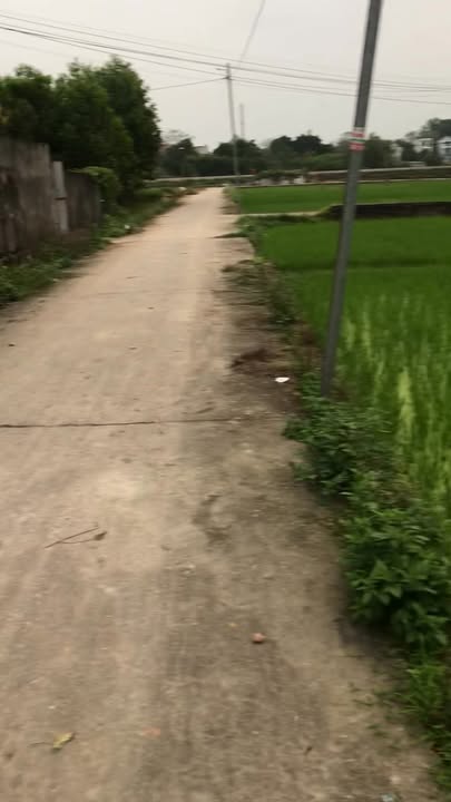 Bán Đất Nền Phường Trung Thành, Phổ Yên 1891m² - Mặt Tiền Rộng, Pháp Lý Sổ Đỏ