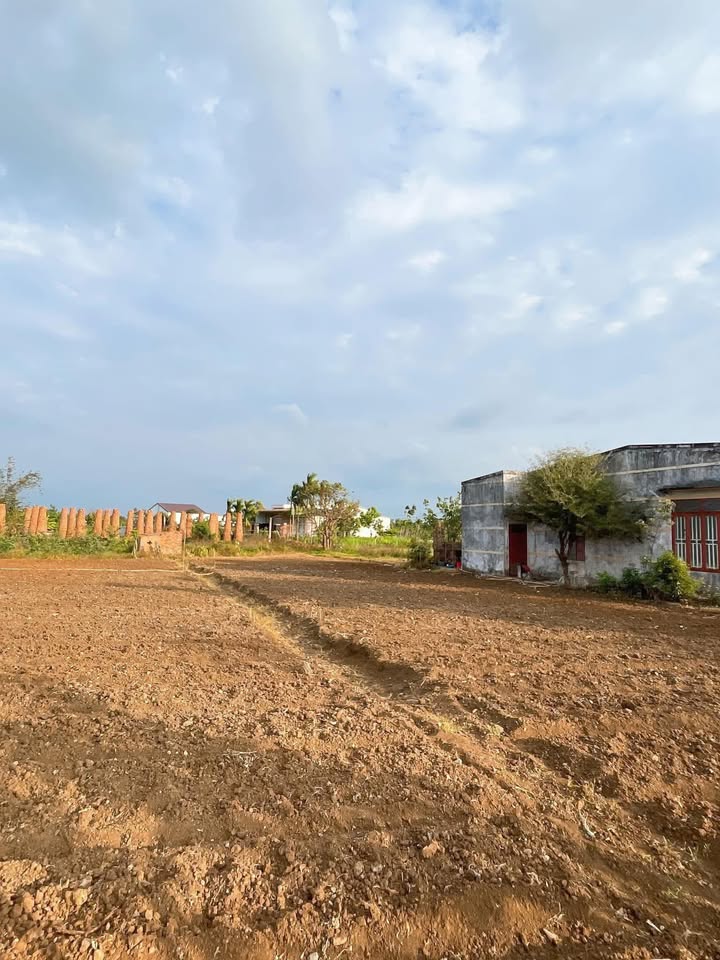 Đất nền Ea Phê, Đắk Lắk - 2 Lô Liền Kề 160m² - Giá chỉ từ 3xx Triệu