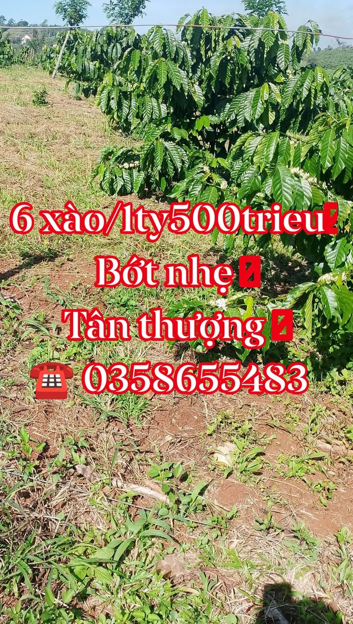 Đất Nền 2160m² Sổ Hồng Vuông Vức - Giá 1.5 Tỷ Tại Di Linh, Lâm Đồng