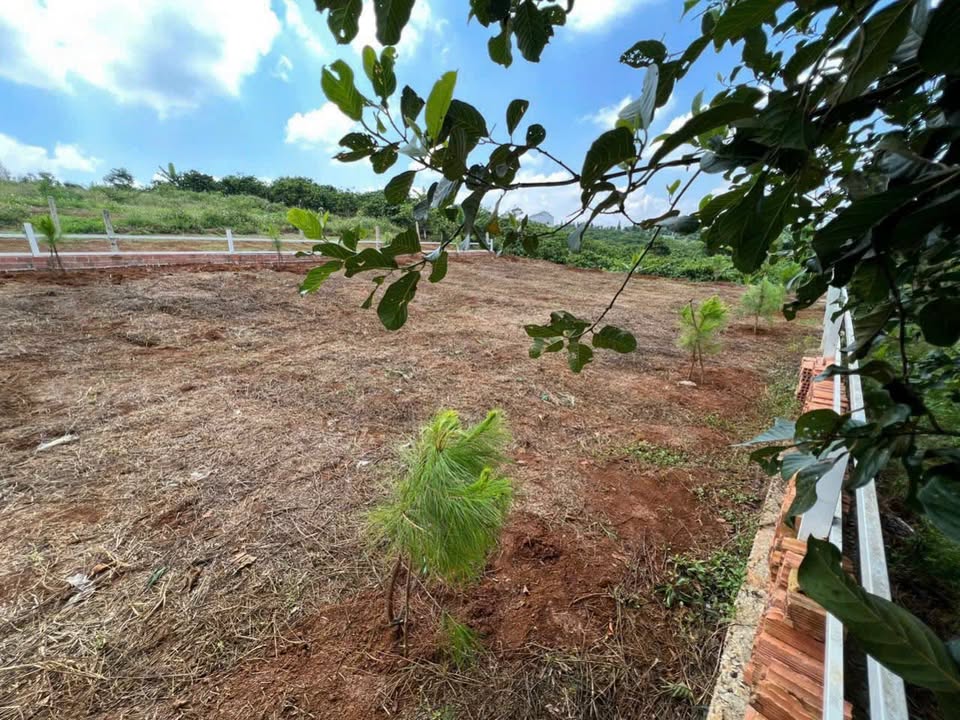 Bán Đất Lộc An Long Thành 175m² - Sổ Hồng Chính Chủ, Gần Chợ 300m