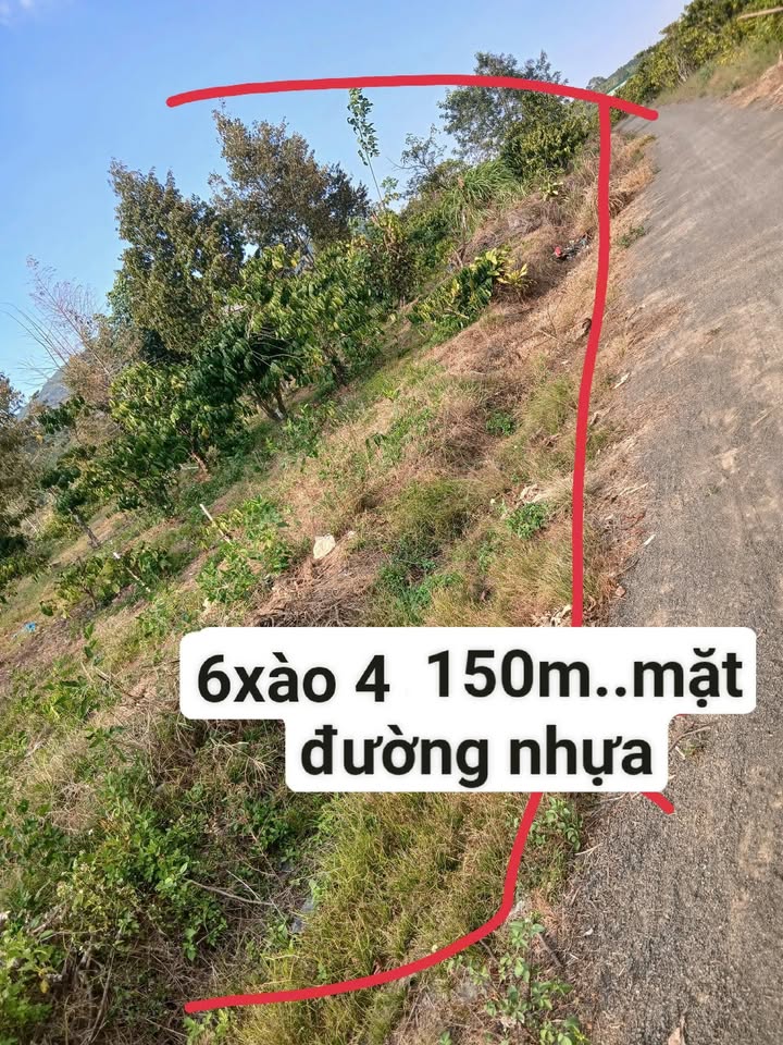 Đất Nền Lộc Đức, Bảo Lâm: 2304m² Mặt Tiền Nhựa, Sổ Hồng Full Thổ Cư