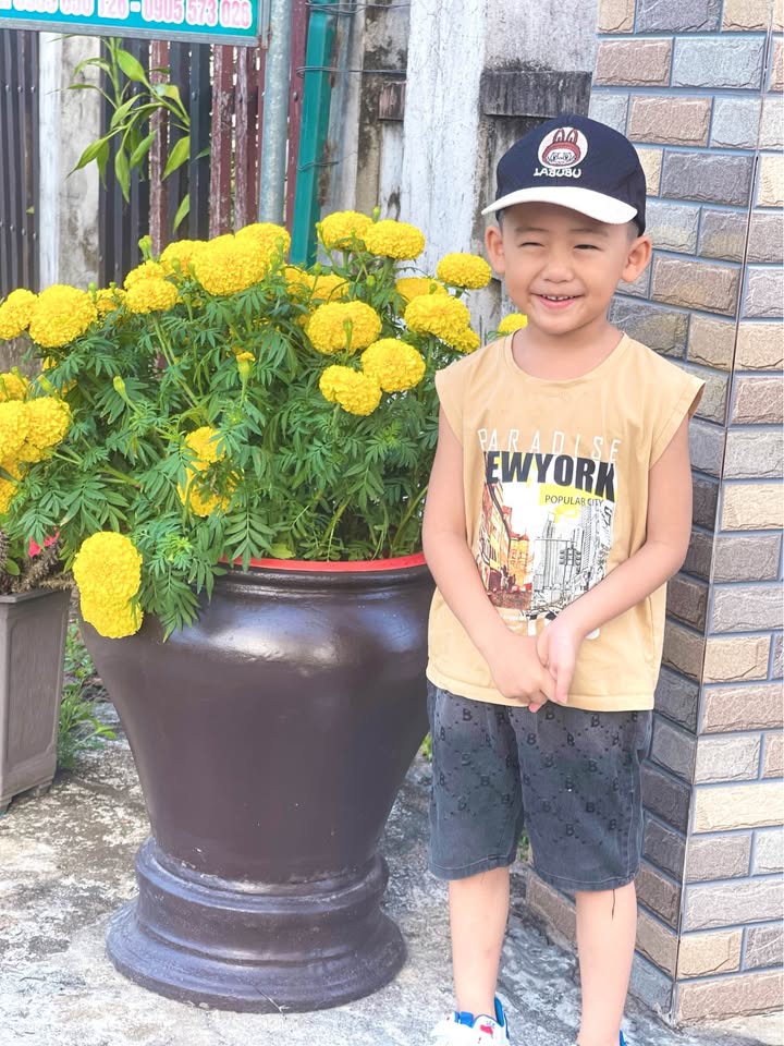 Đất Vườn 6000m² Ven Biển Nam Hội An - Sổ Đỏ Sẵn Sàng