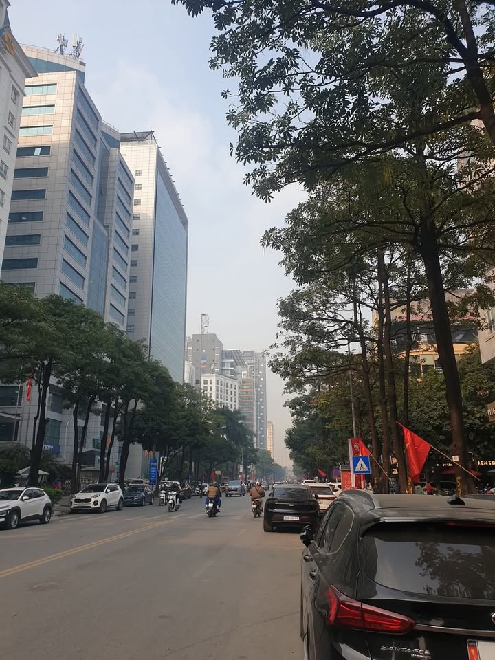 Mặt Phố Trần Bình Nguyễn Hoàng, Cầu Giấy - Kinh Doanh Đỉnh Cao 93m², 47.5 Tỷ