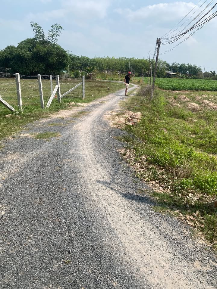 Đất Nền Xóm Mới 2 Châu Thành Tây Ninh 1276m² Giá Tốt