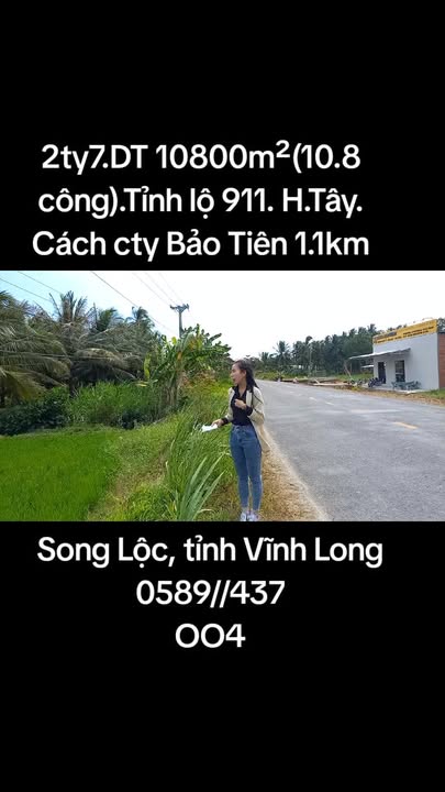 Đất Vườn Trà Vinh 10800m² Mặt Tiền Tỉnh Lộ 911 - Sẵn Sàng Đầu Tư