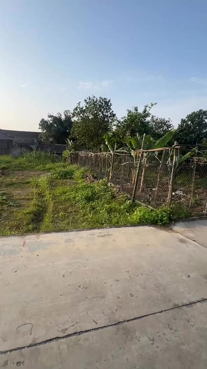 Đất nền An Khoái - Thanh Miện 115m² giá từ 1 tỷ - Cơ hội đầu tư sáng giá