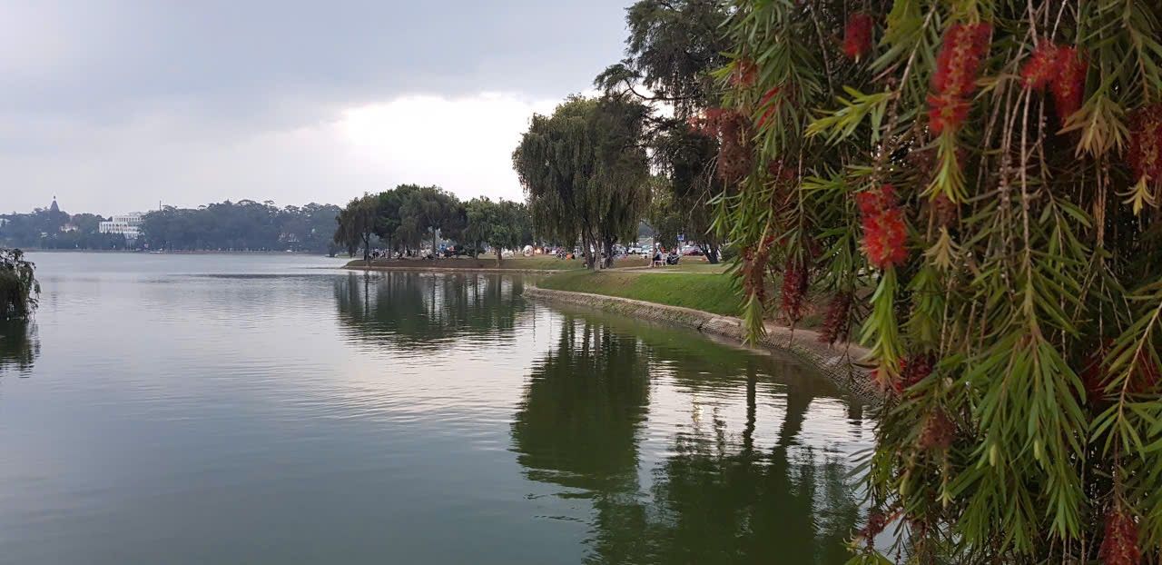 Bán Đất Tặng Nhà Hai Mặt Tiền Hoàng Diệu, Di Linh - 287m² Giá 20 Tỷ