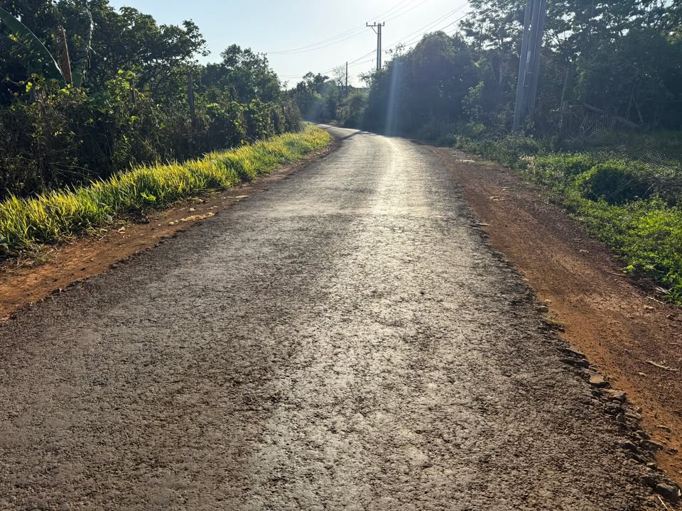 Đất Vườn Đắk Nông 3000m² Giá 1.25 Tỷ - Sổ Đỏ Rõ Ràng