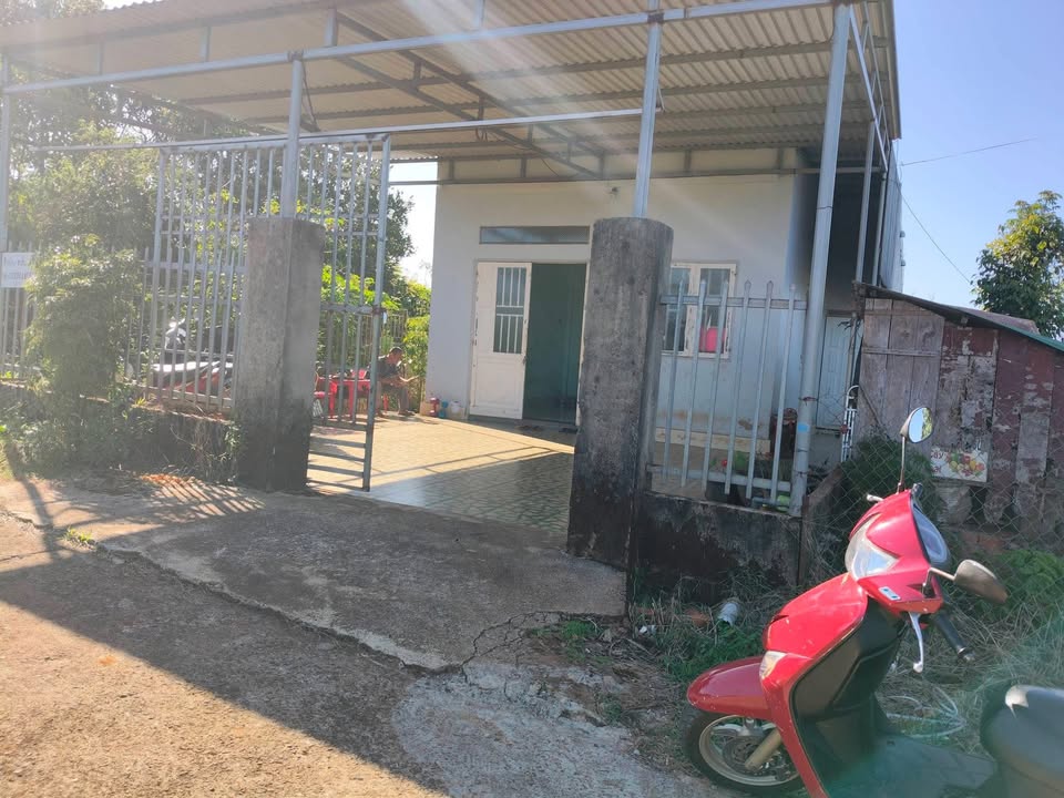 Bán Gấp Nhà Vườn Thu Nhập Ổn Định - Đắk Nông 908m² Giá 1.45 Tỷ