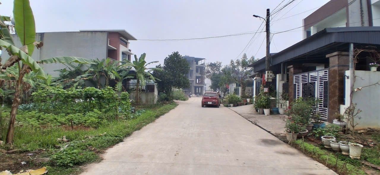 Đất Biệt Thự Đồi Quăn, Phú Thọ - 150m² Full Thổ Cư, Giá Tốt