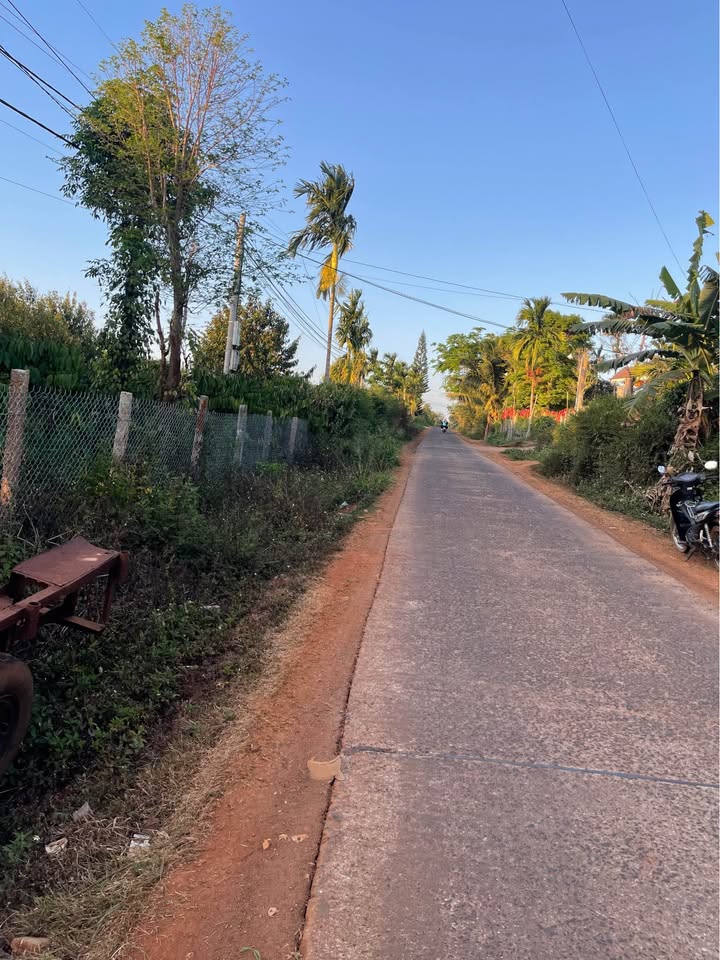 Bán Đất Vườn Ea Kiết, Đắk Lắk - 7000m² Sẵn Điện Nước, Giá 3.2 Tỷ