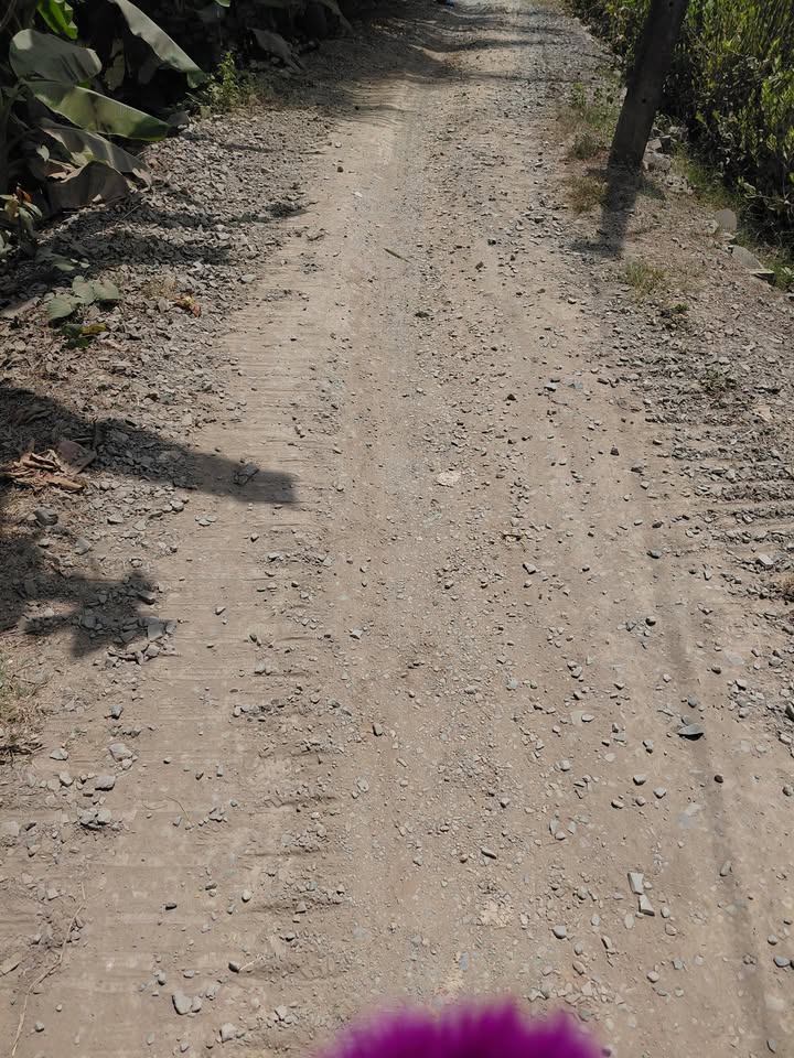 Đất Nền Song Phú Vĩnh Long 300m² - Sẵn Sàng Xây Nhà Mới