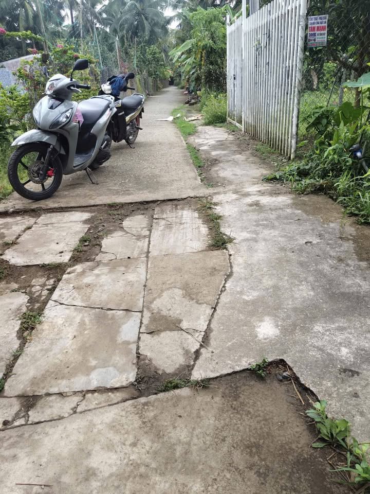 Bán Đất Vườn Bến Tre 960m² Giá 470 Triệu - Sổ Hồng Rõ Ràng