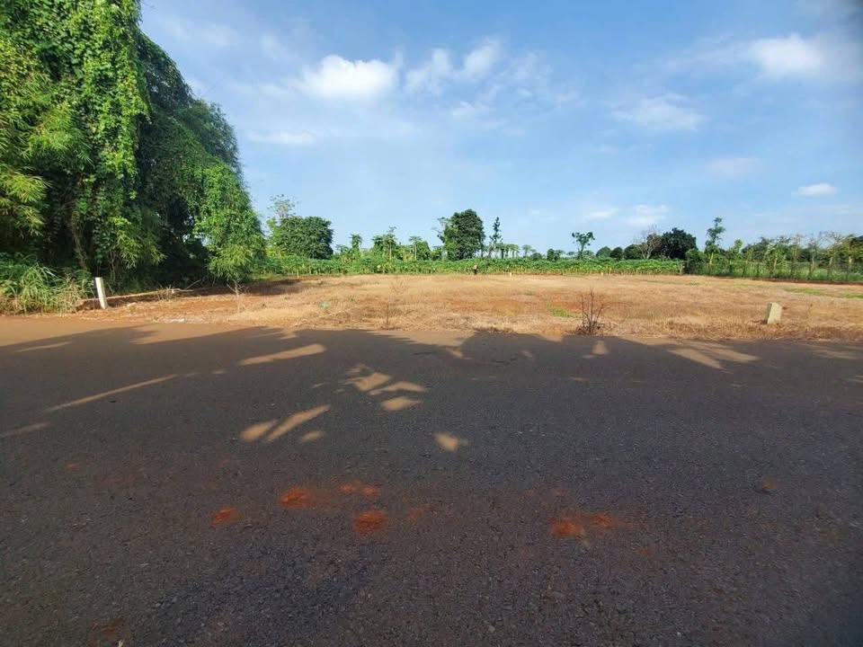 Bán Gấp 2 Lô Biệt Thự Vườn Liền Kề 300m² Tại Bà Rịa - Sổ Hồng Sẵn Sàng