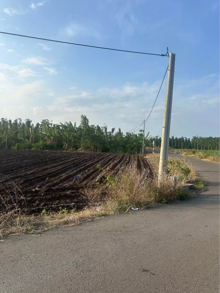 Đất Nền Bình Trung Châu Đức 234m² - 2 Mặt Tiền Đường Nhựa, Giá Tốt 250 Triệu