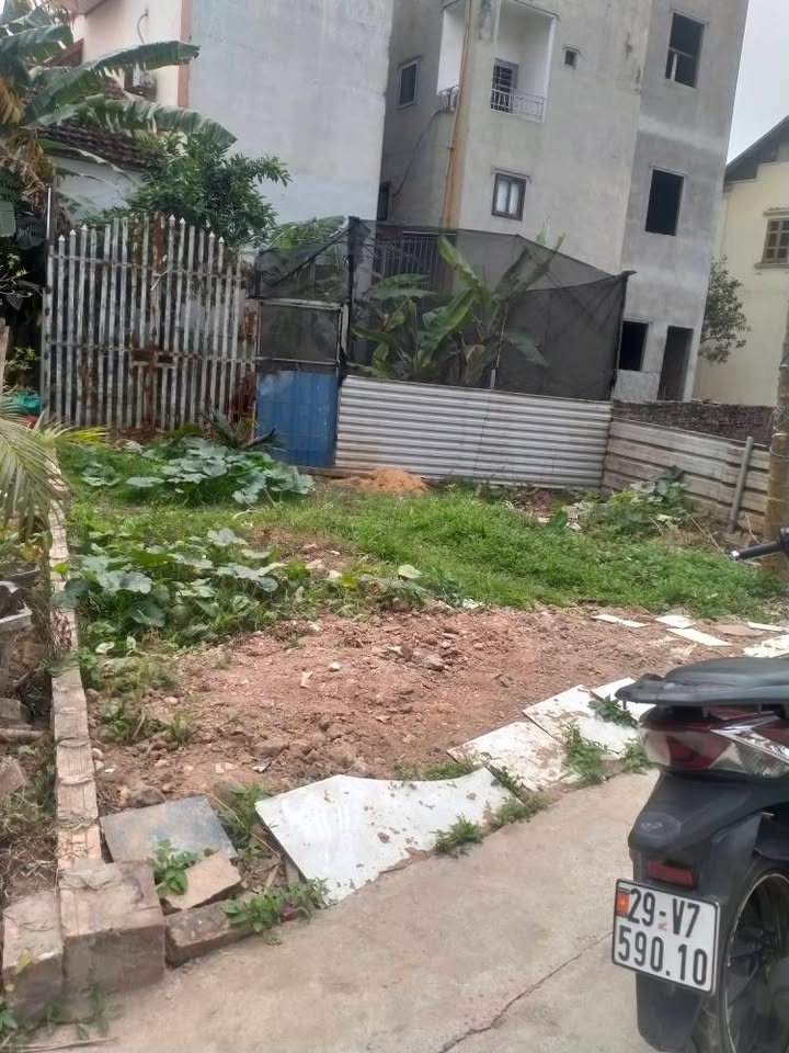 Đất thổ cư Thôn Yên Quán Tân Phú 82m² 3 tỷ - Sổ đỏ chính chủ