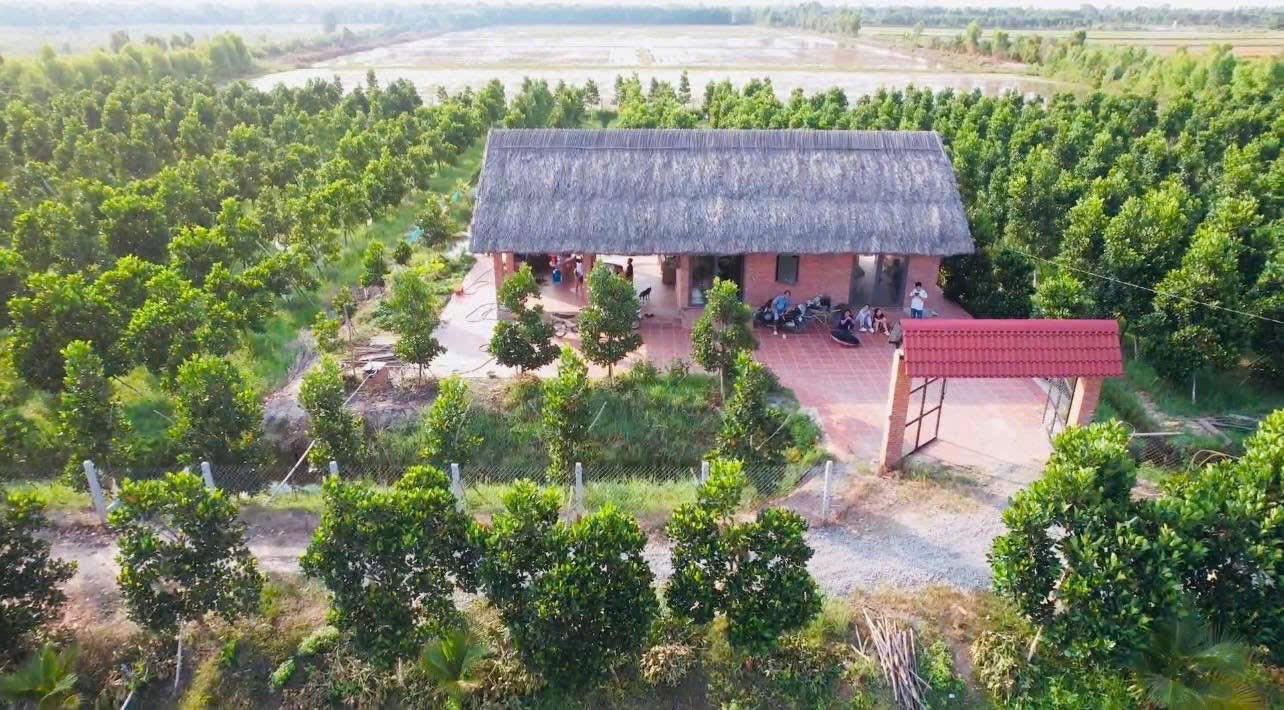 Farm Nghỉ Dưỡng 10.000m² Long An - 5.5 Tỷ - Ngàn Gốc Mít Ruột Đỏ
