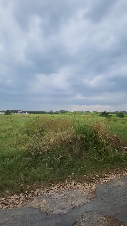 Đất Vàng Bình Chánh 6000m² - Giá Đầu Tư 10 Triệu/m² - Sổ Riêng