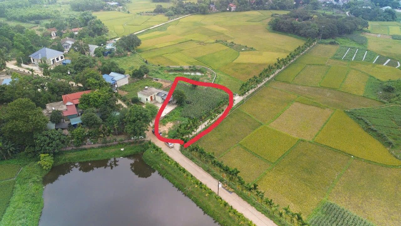 Đất nền Thạch Thất 850m² view hồ - Cơ hội đầu tư sinh lời 30 phút vào trung tâm Hà Nội