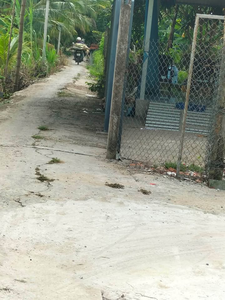 Đất Vườn Mini Châu Đốc 501m² - Sổ Riêng, Giá Đầu Tư 295 Triệu